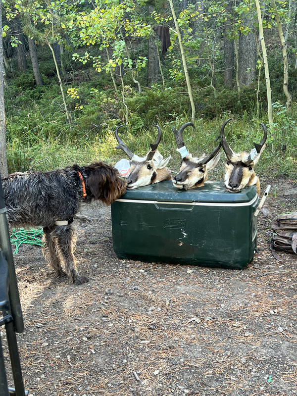 479F3810-71A9-457C-A7E6-0DF9EAAF79D1