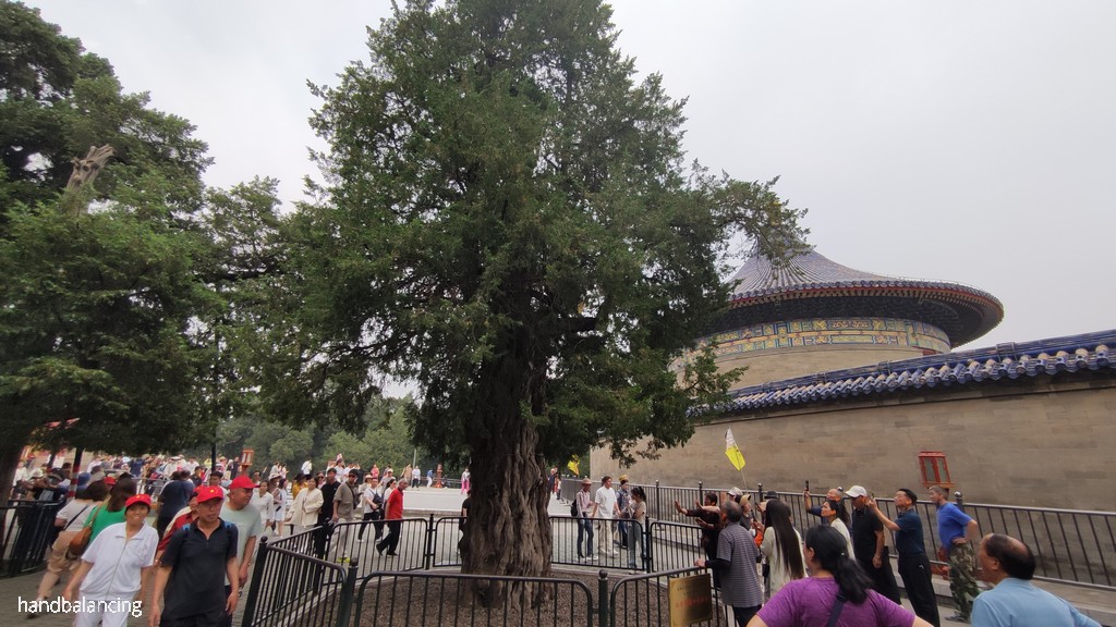 IMG-20250520-151905