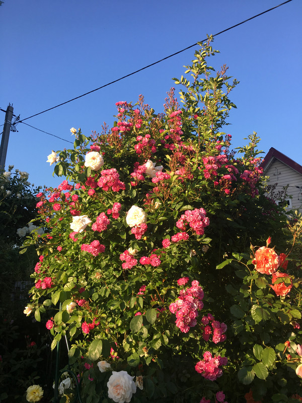 3B123C55-2462-4DA0-B74B-0DEDC3916BA0