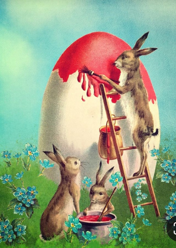 Screenshot_20230415_234832_Pinterest