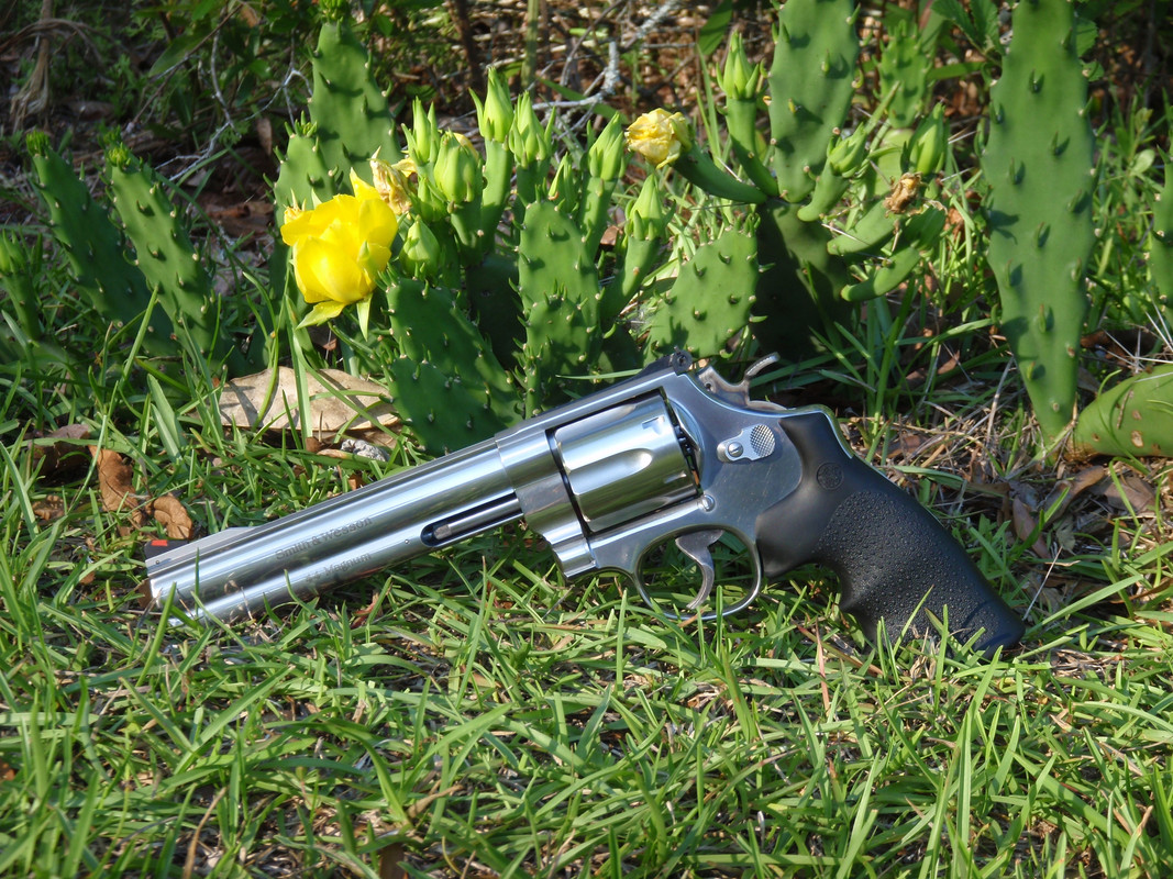 C29276CC-CB3B-46B8-A4EA-D2C0F642E88C