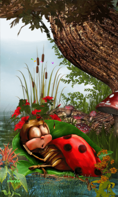 738C4419-D4C3-482B-91F1-DB175FF71A7B