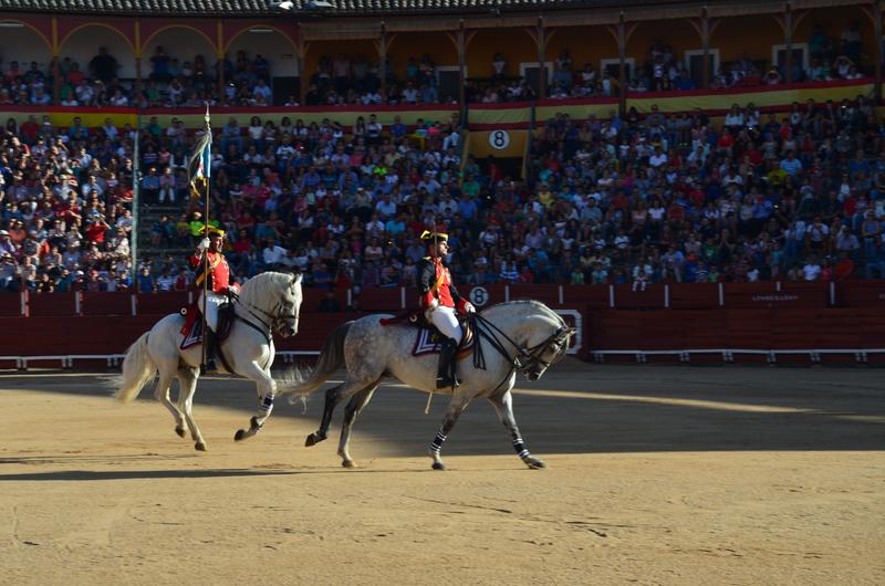 Exhibición Guardia Civil-30-9-2016 - Toledo y sus pueblos-1996/2026 (23)