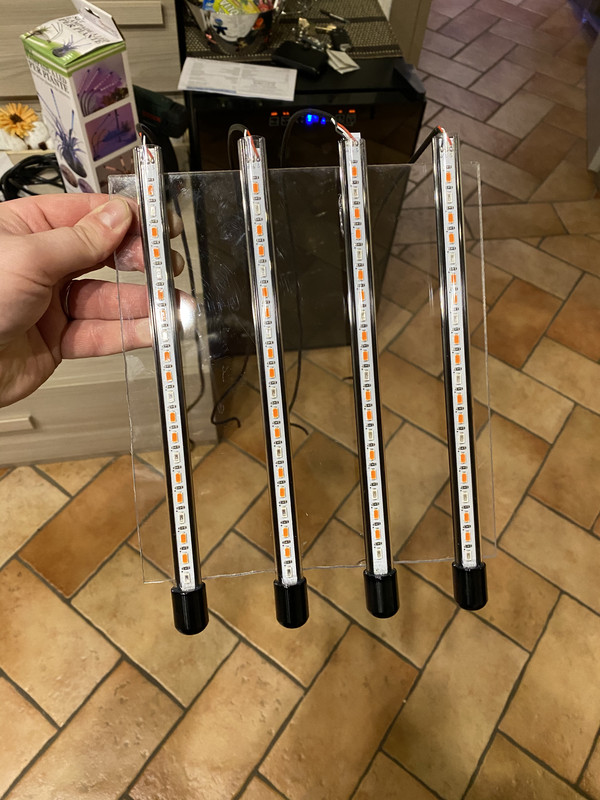 4FA3171D-1655-4B19-A2AF-EFDBC593A742