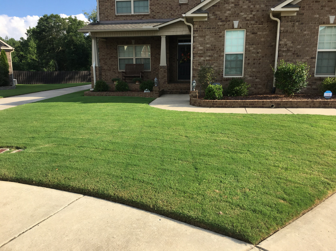 walk1355's Lawn Journal | Lawn Care Forum