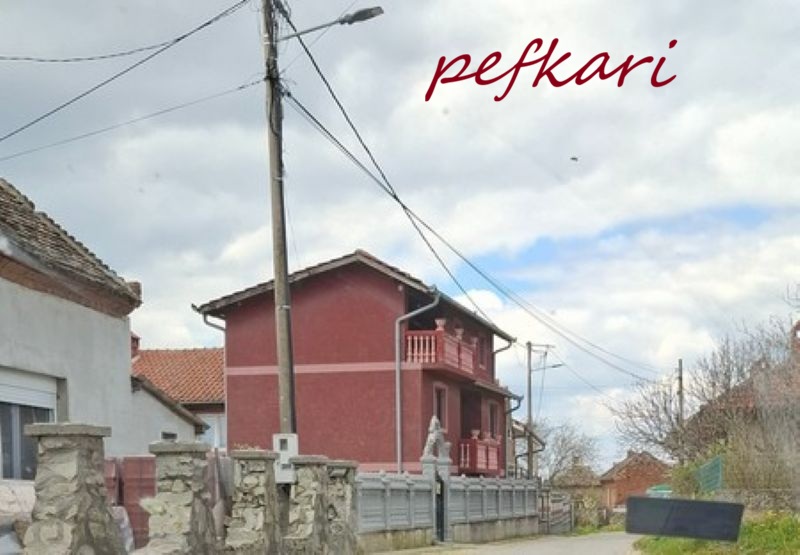 Slika