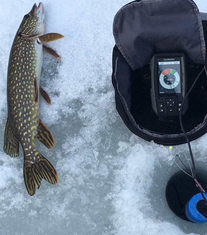 EBF78EAC-AEB0-4DAE-AC61-6CE587CB12FA