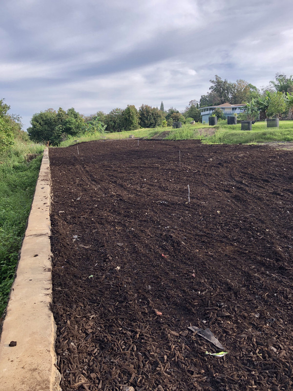 126D69AD-70E4-418A-AC51-9CDBA00AEA61