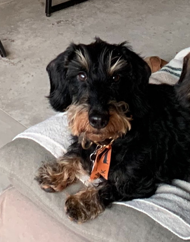 [Image: IMG-20240225-200749.jpg]