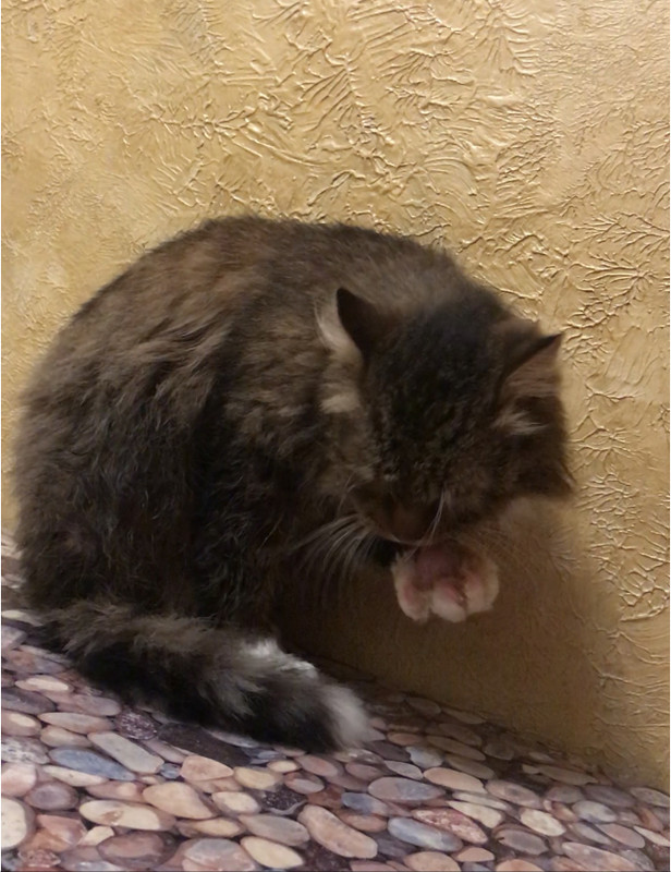 56D17370-C56A-436D-B742-C9355F9C9CD9