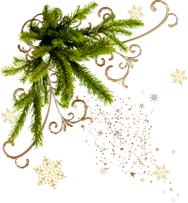 Christmasswishoffairydndoodless