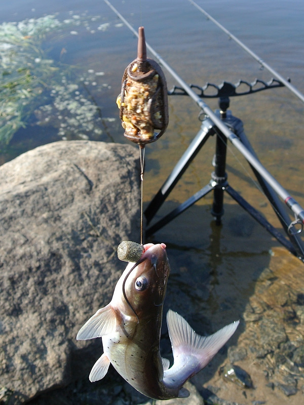 Добрянка 21.09.14 09