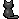 black cat sit