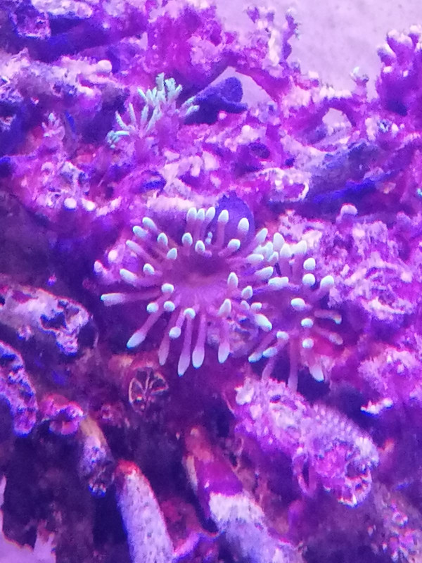 A9D75C4B-B7A1-424C-A6A7-CF87AD225055