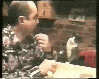 catfeed2.gif