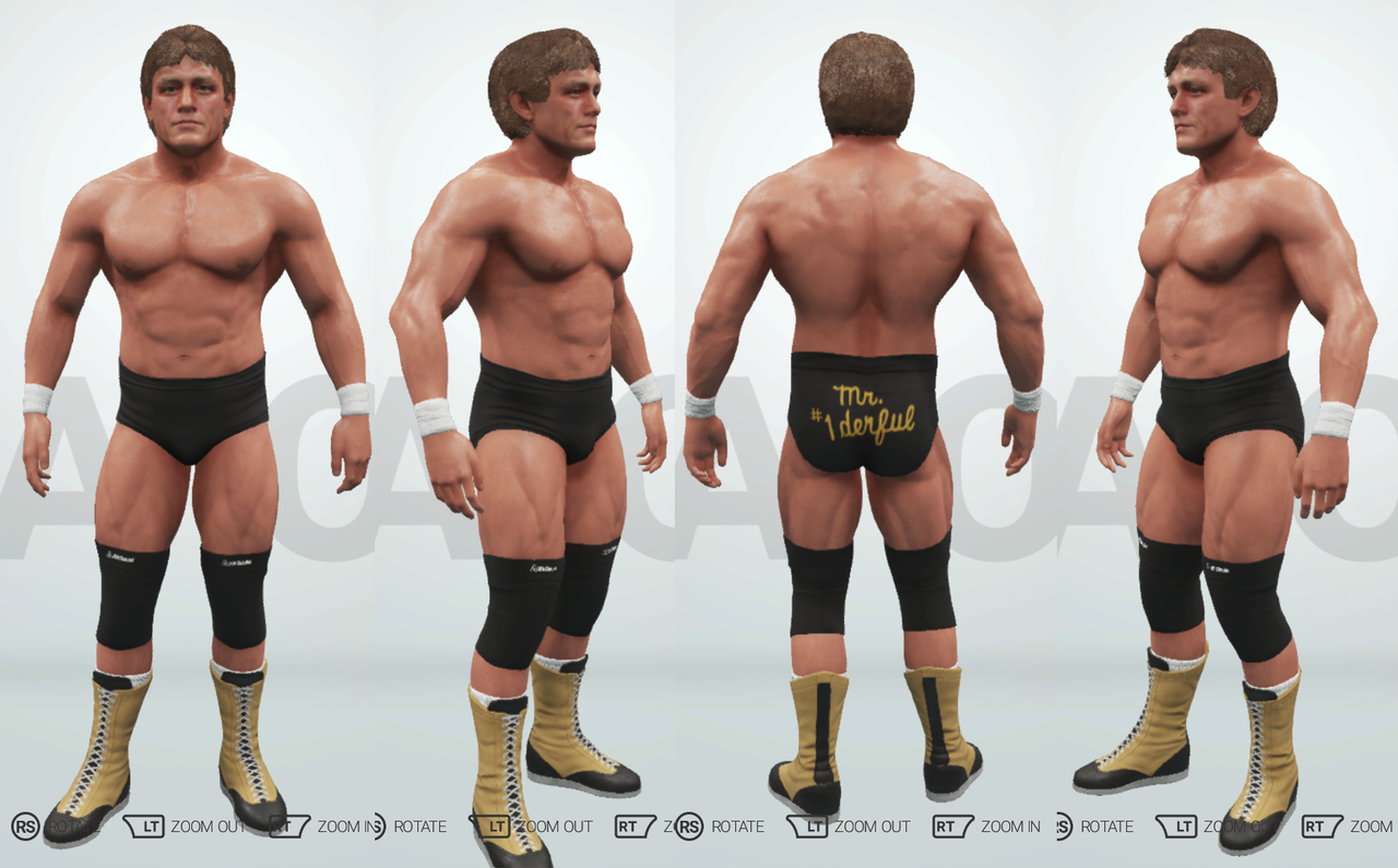 Paul-Orndorff-2-K19-CAW07.png