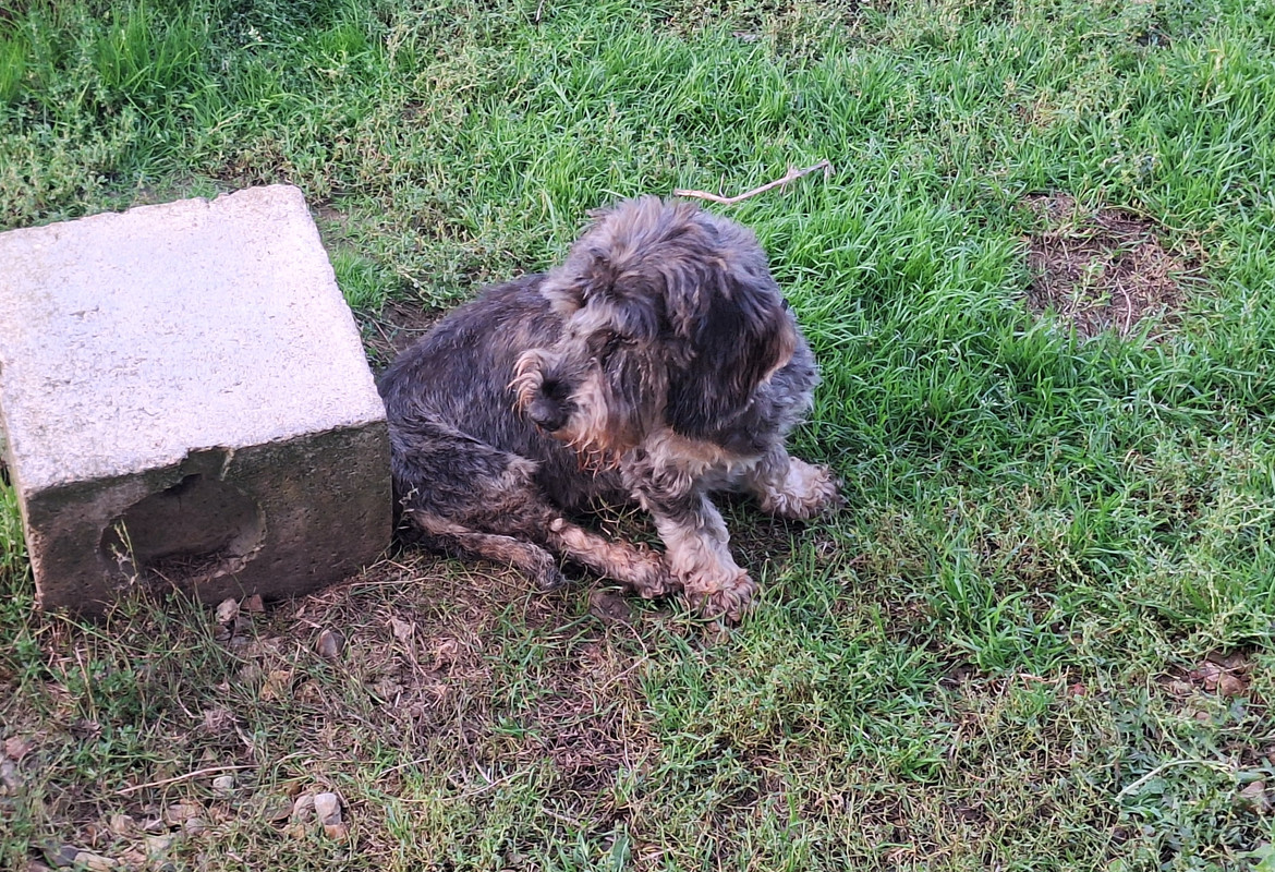 [Image: 20250919-191355.jpg]