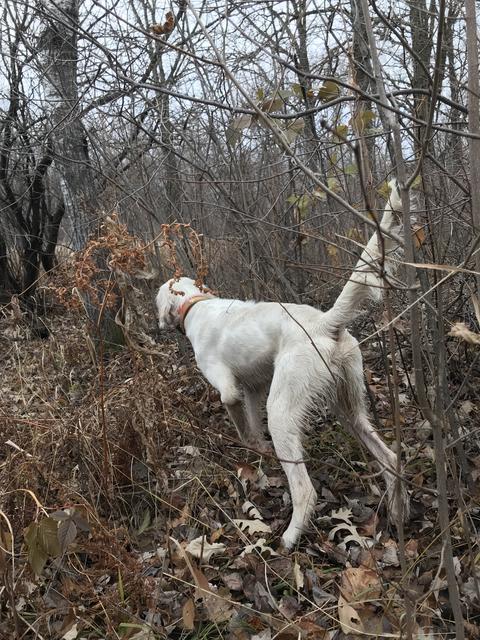 A7F69CD2-1099-4104-A51E-2866CB5D6658