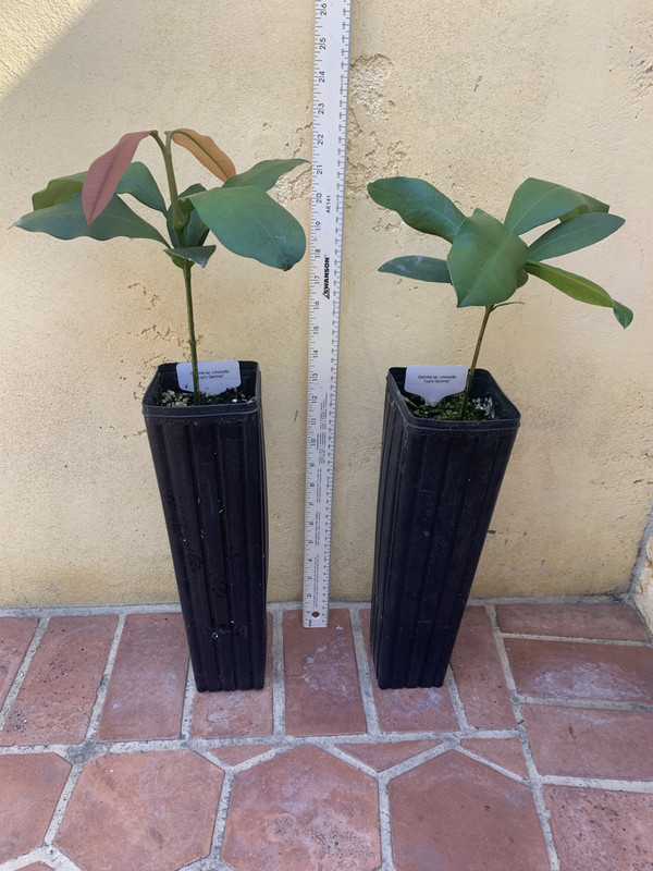 71187FD6-E502-4CBF-923D-2E431429B8C9