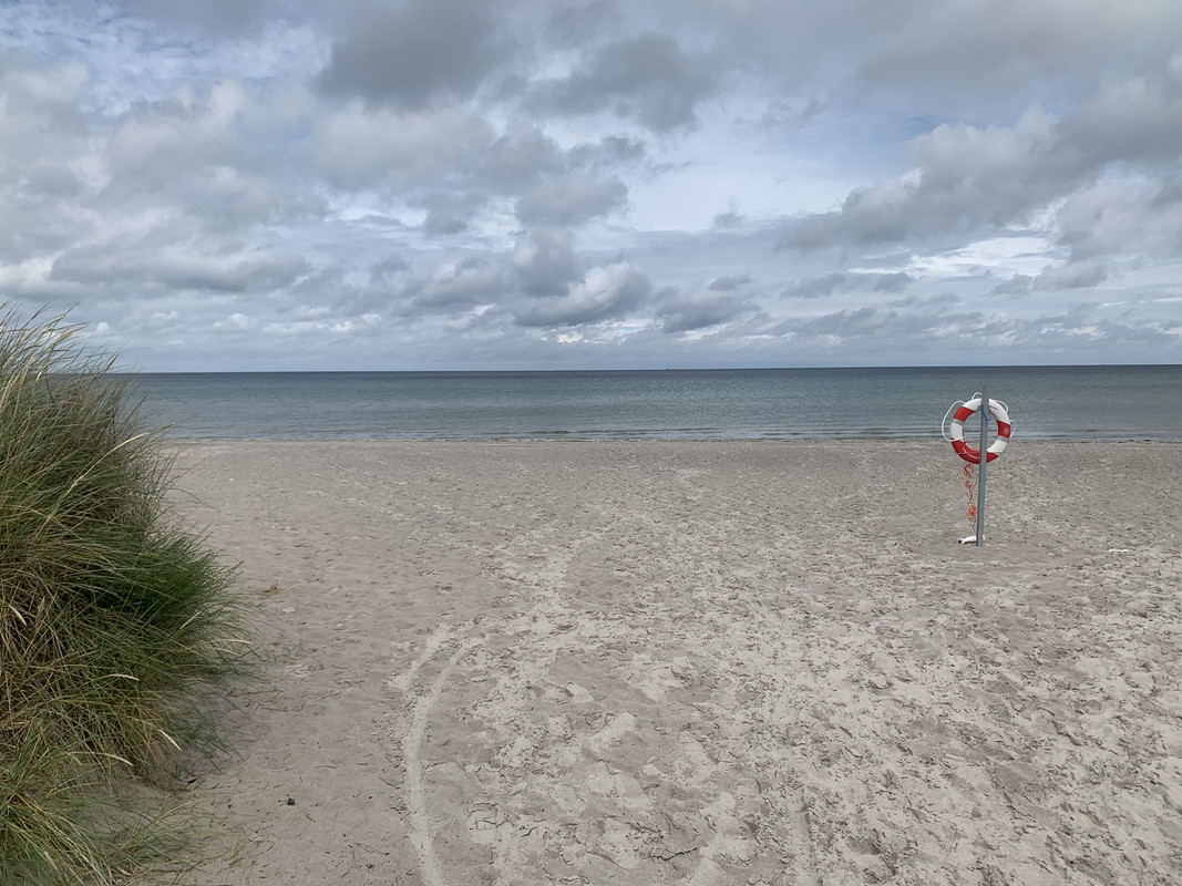 Moram vam reći: Planetarno licemjerje [piše Ada Jukić]