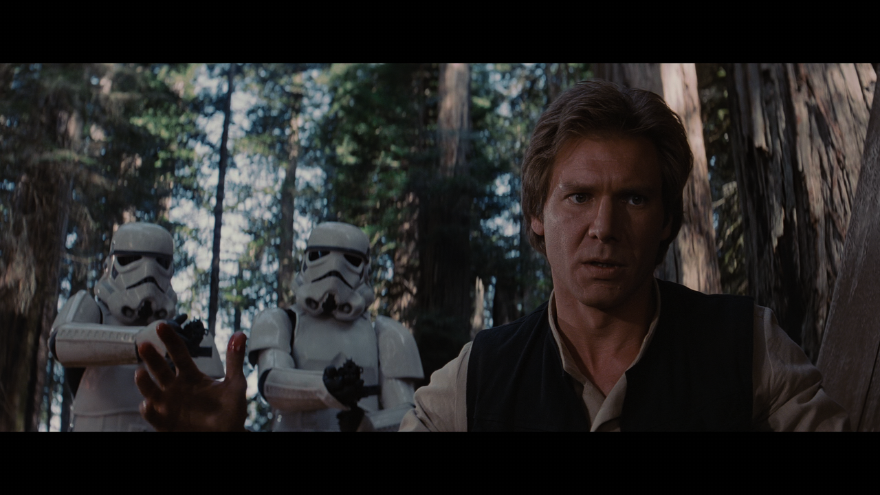 Star Wars - Episode VI - Return of the Jedi.mkv_snapshot_01.48.16_[2022.05.22_20.46.27]