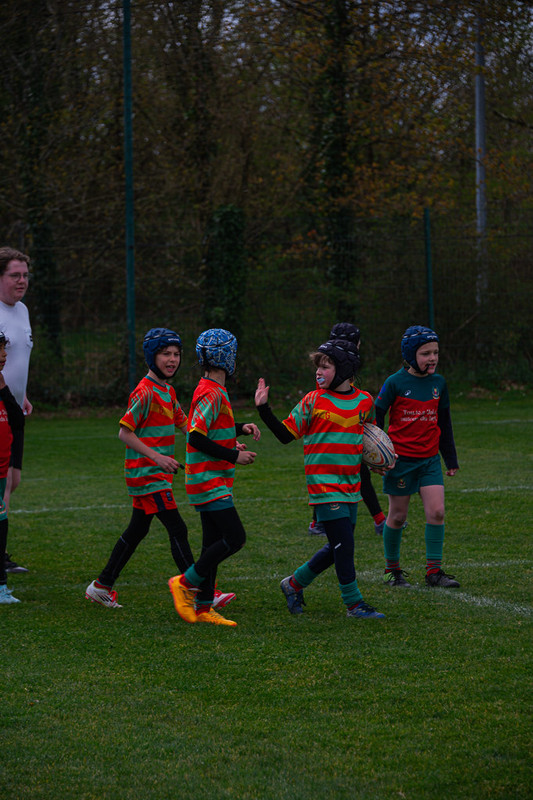 tournoi-de-latlantique-2026-adonis-griffon-125-55181456358-l