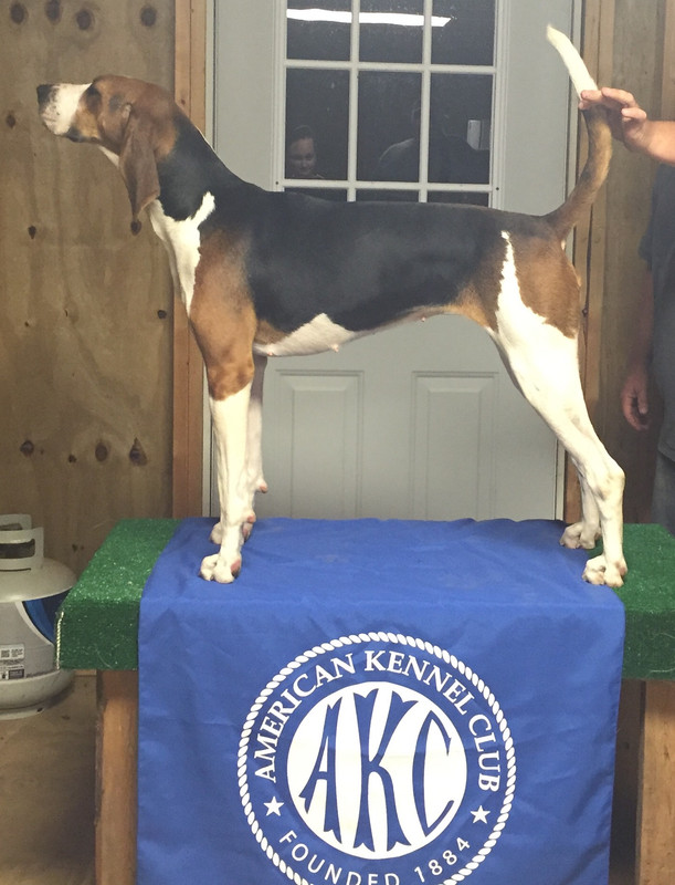 AAE9ABF4-AE97-43E3-A624-857EE9783245