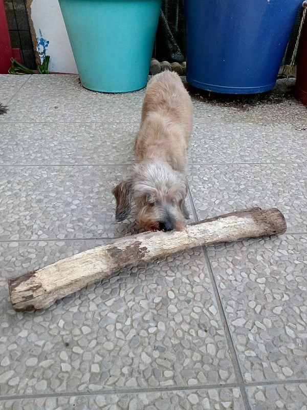 [Image: IMG-20210409-085536174.jpg]