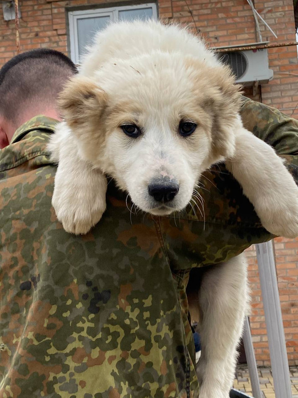 F0A138CF-06F9-4CD1-96CC-61ACCF8F31AE