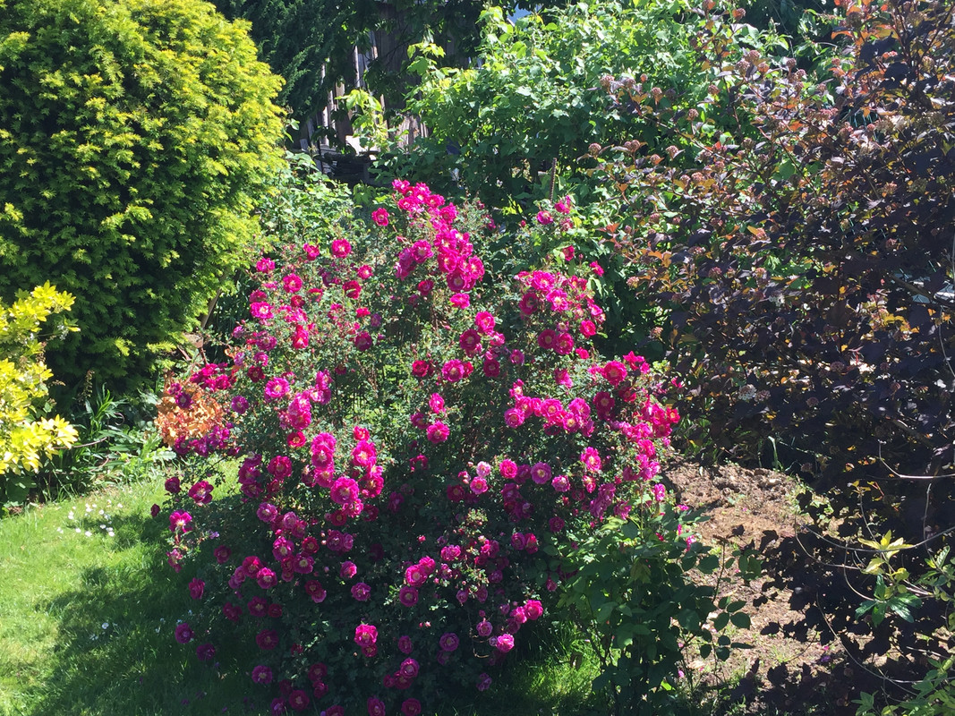 3F6780BC-95F7-45A9-BC56-FA925FBD2C5E