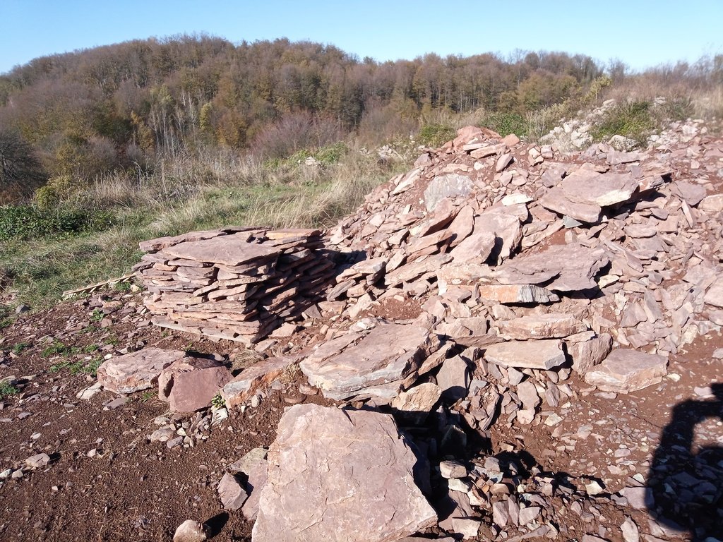 IMG-20231109-115039-9.jpg