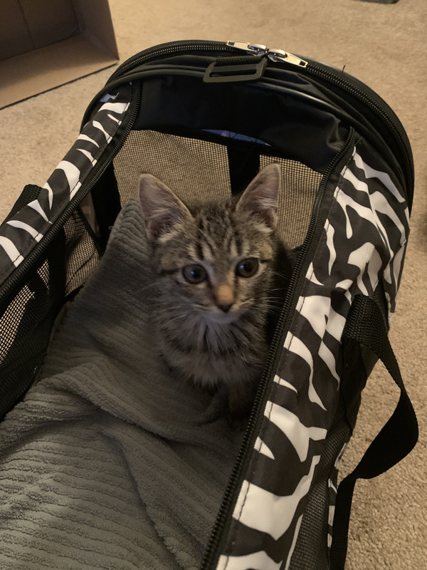 9085D3C5-2178-41CC-BC36-E9586DBDFC04