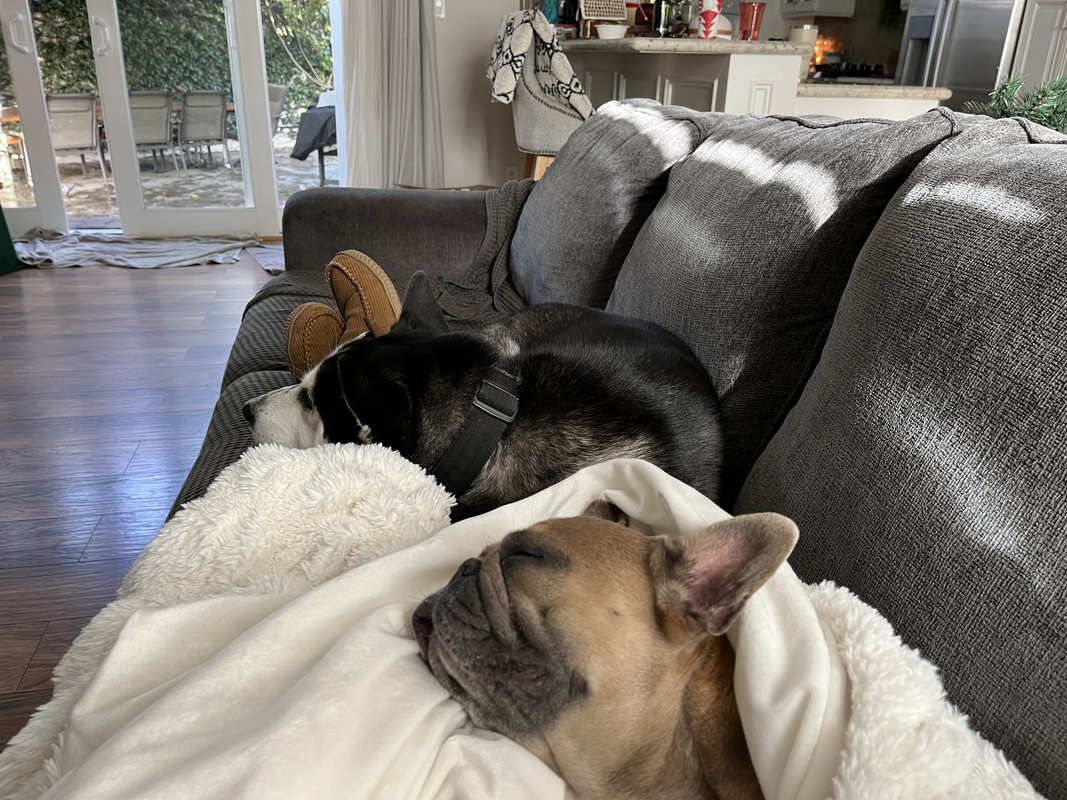 CAF1ED86-AB2F-45AB-86C4-196DA4FBC509