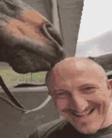 lick-bald.gif