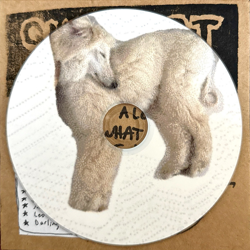 ditching town by june henry - Middle