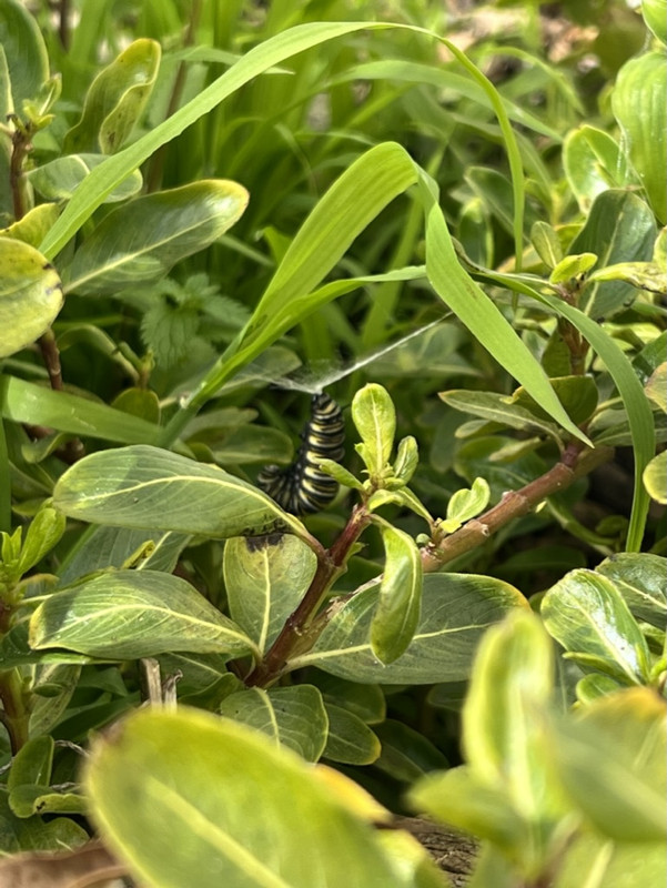 6F79AE6F-F5CE-44EB-BDFC-CDC4C70DD6A1_1_105_c