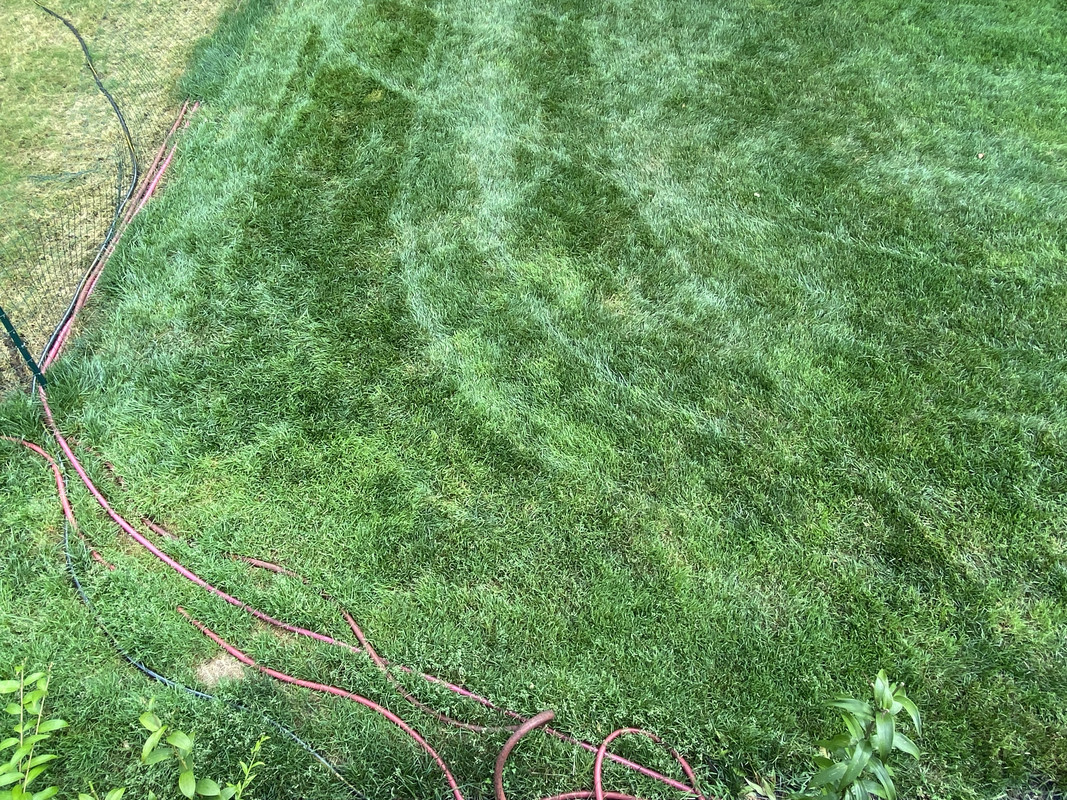 568485B2-45E0-45BA-9F00-88D5D7D878F6