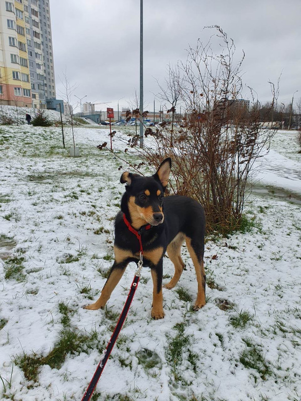 32E1C657-1760-4BE8-8779-769220DF80CE