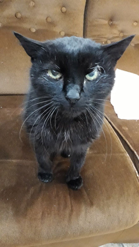 AD29CD18-48A3-4349-890E-4B908582F93B