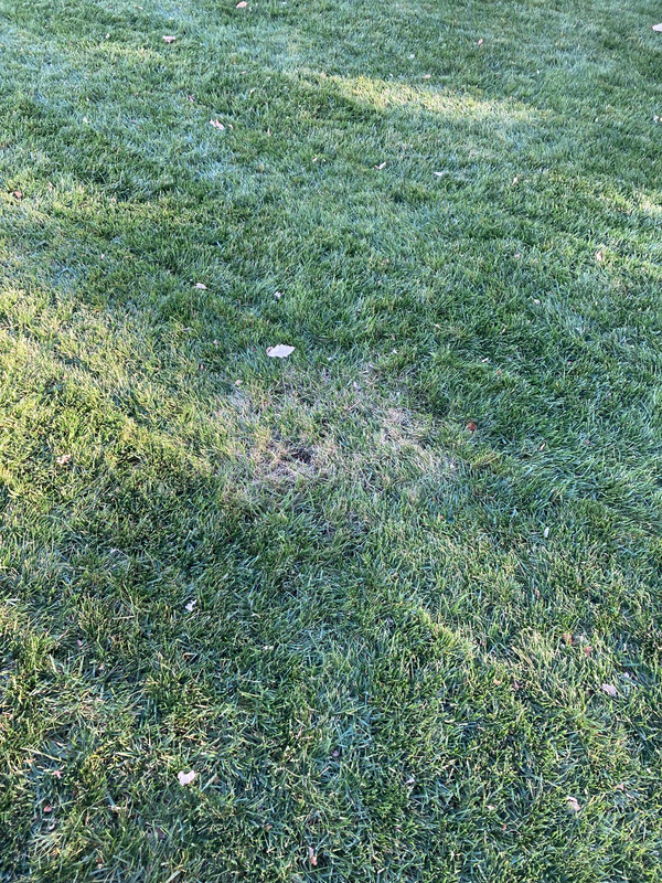 CF99C085-F510-422C-AE2D-550F9B27617C