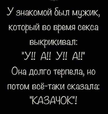 https://i.postimg.cc/wB8vP20H/17033342.jpg