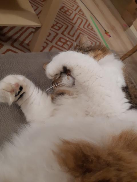 20191123-222112.jpg