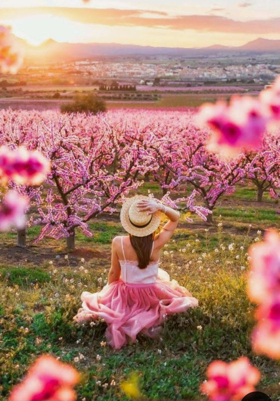 Screenshot_20240609_144124_Pinterest