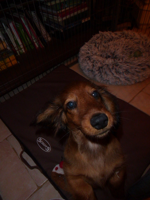 [Image: P1050407.jpg]