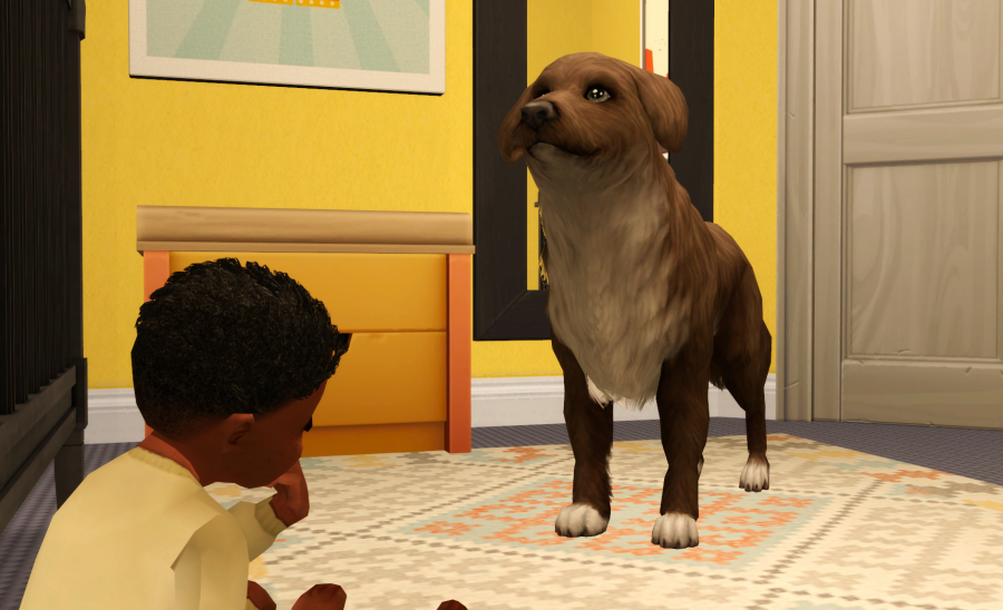 Sims2-EP9-RPC-2021-06-05-09-46-13-25