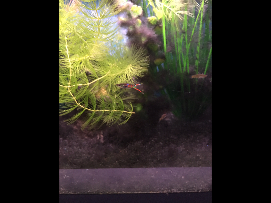 C9152DFB-A875-41E3-8F60-200544E1032E