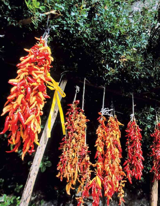 1000 Ricette della Cucina Italiana (2)