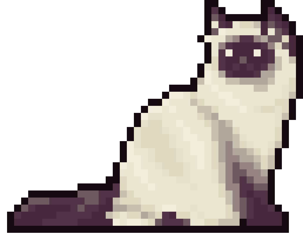 siamese-cat