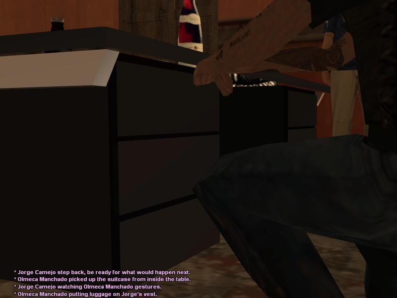 SSRoleplay749.png