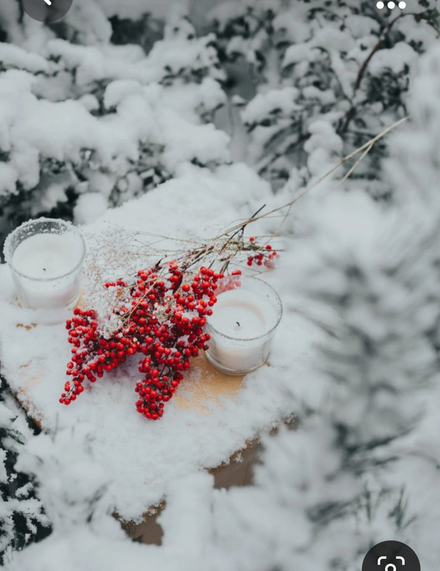 Screenshot_20231101_221933_Pinterest